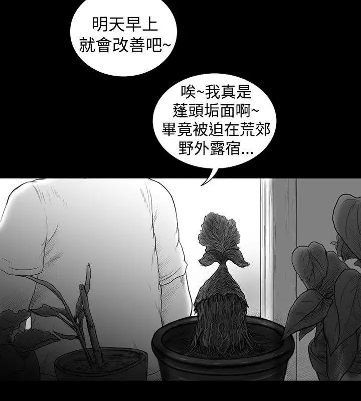 SEEDTheBeginning第10话