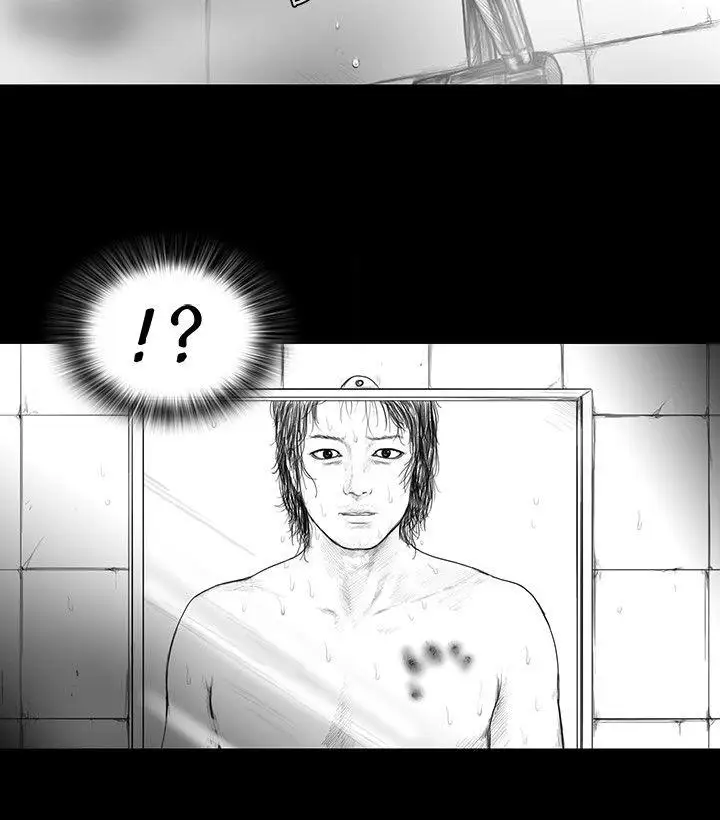 SEEDTheBeginning第10话