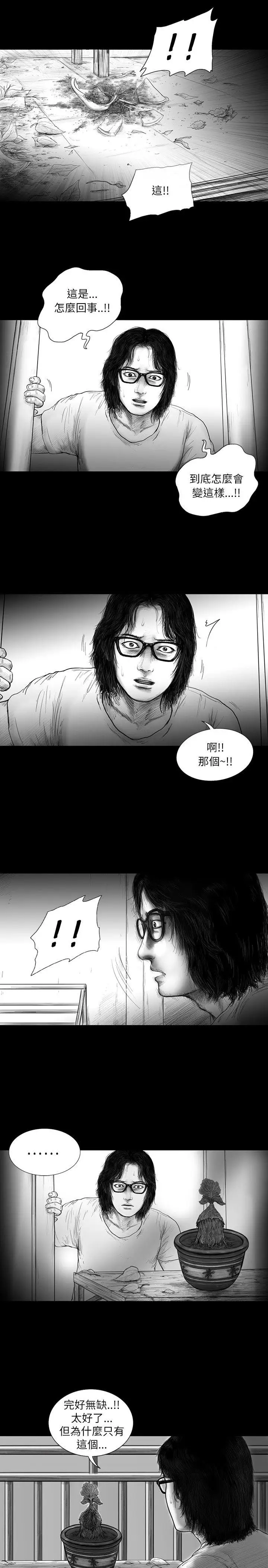 SEEDTheBeginning第12话