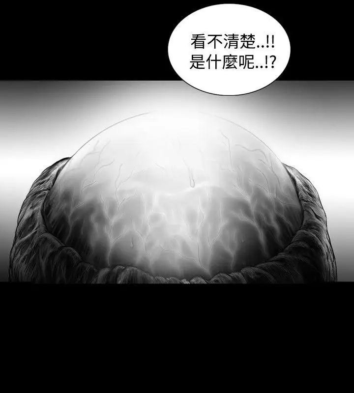 SEEDTheBeginning第15话