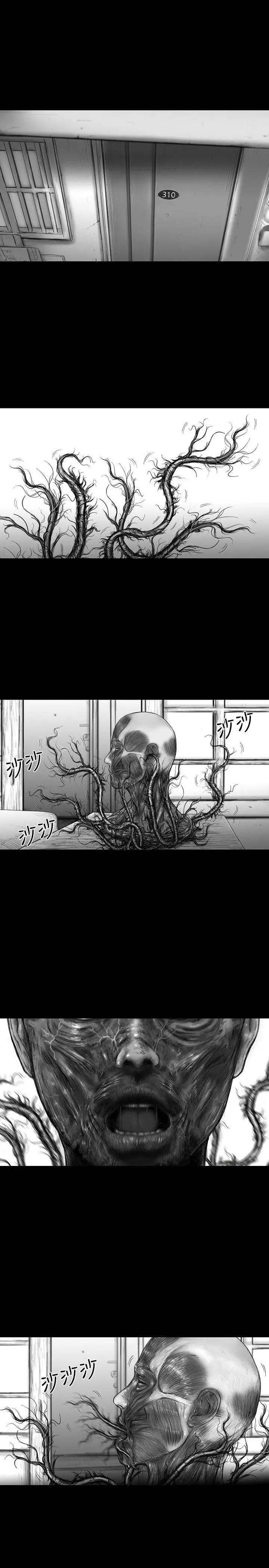 SEEDTheBeginning第20话