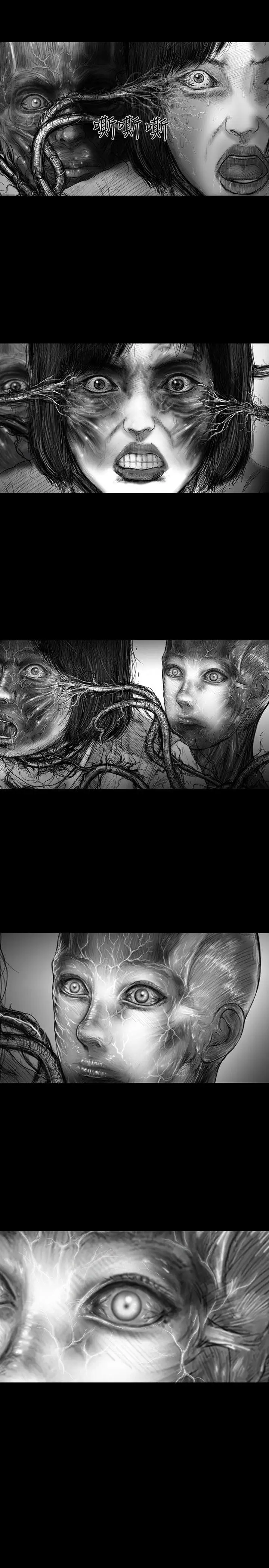 SEEDTheBeginning第22话