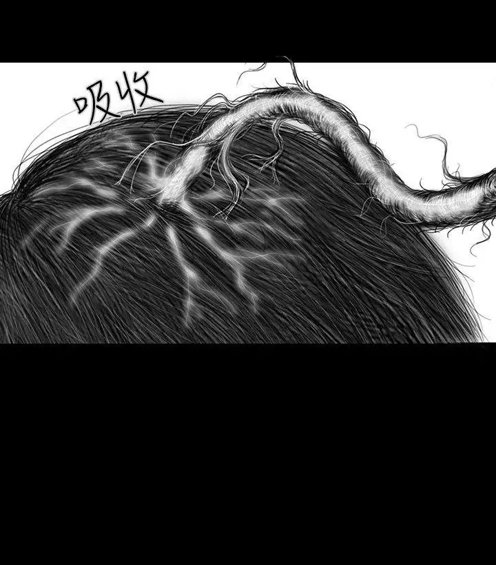 SEEDTheBeginning第22话