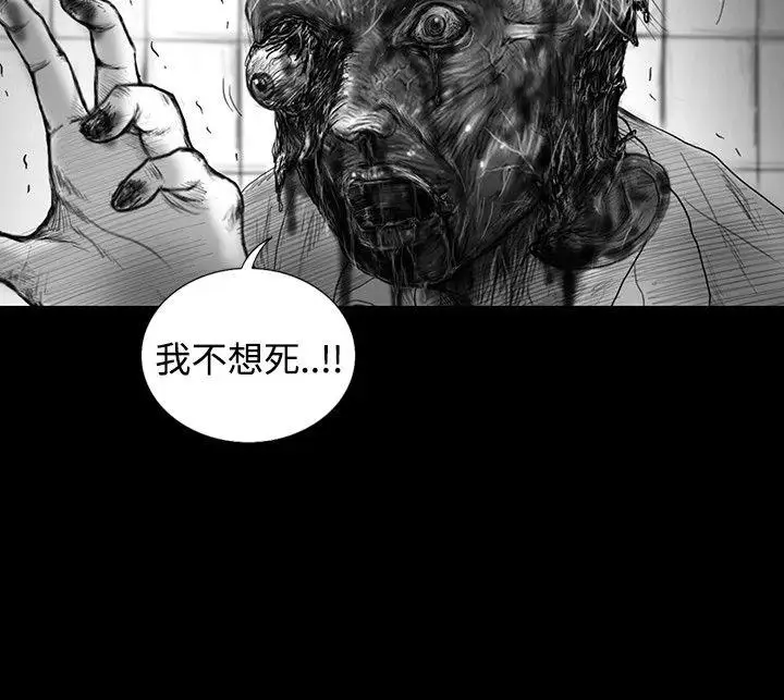 SEEDTheBeginning第23话