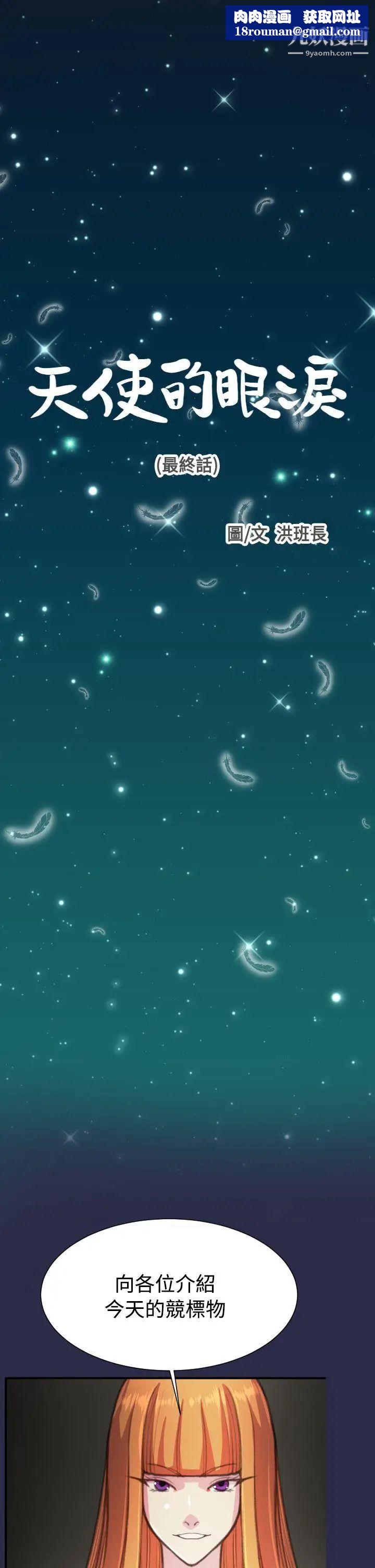 天使的眼泪最终话