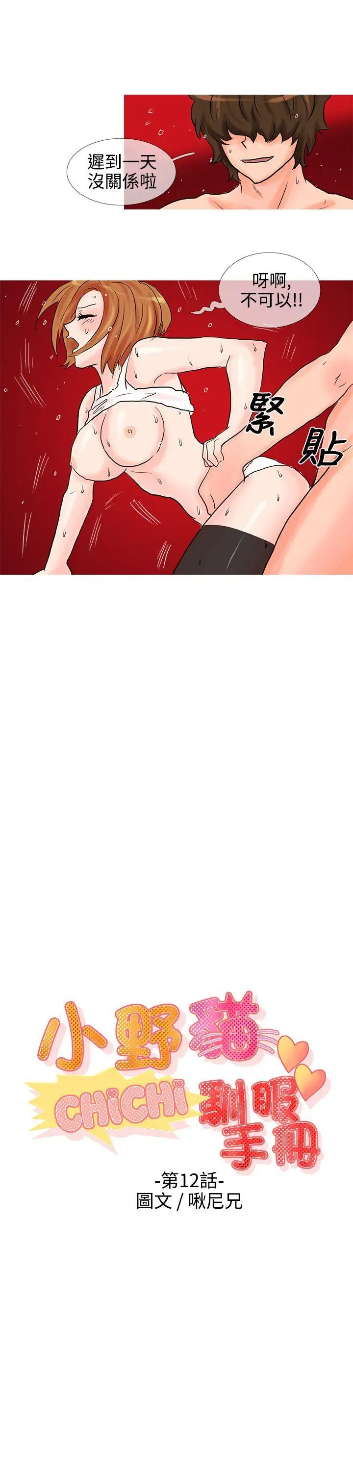 小野貓馴服手冊第12話