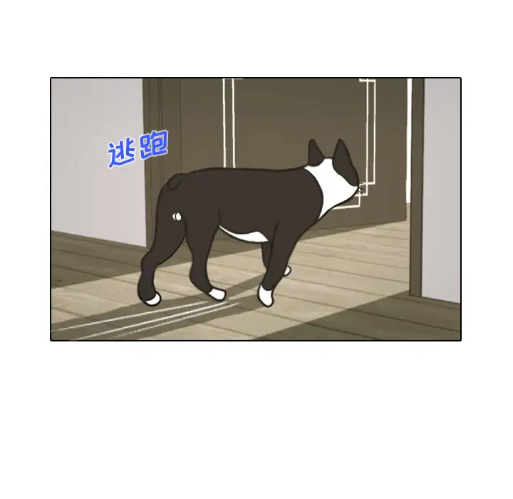 手中的世界第17话