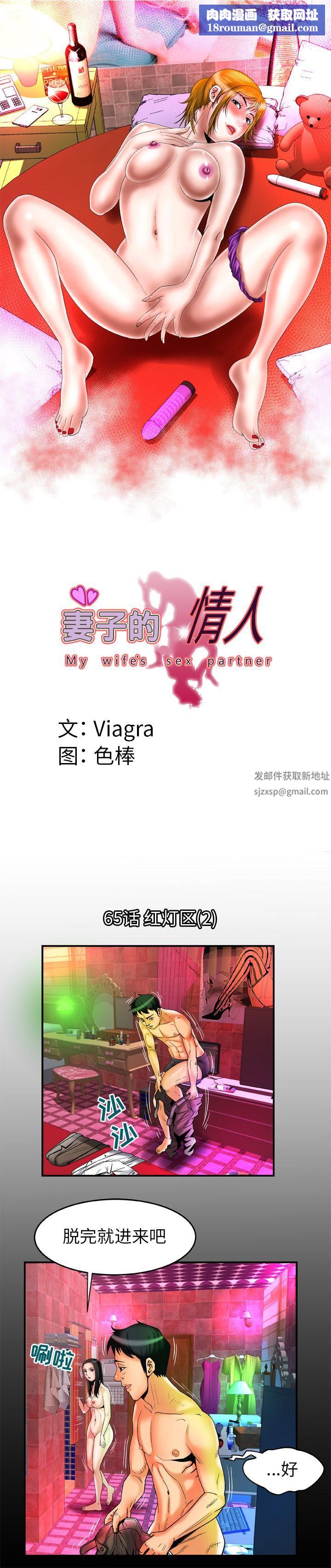 妻子的情人第65话