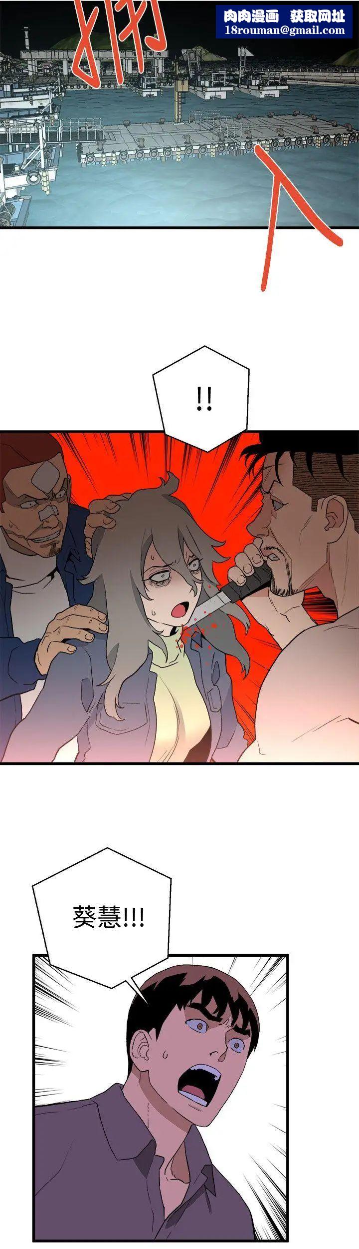 食物链第35话