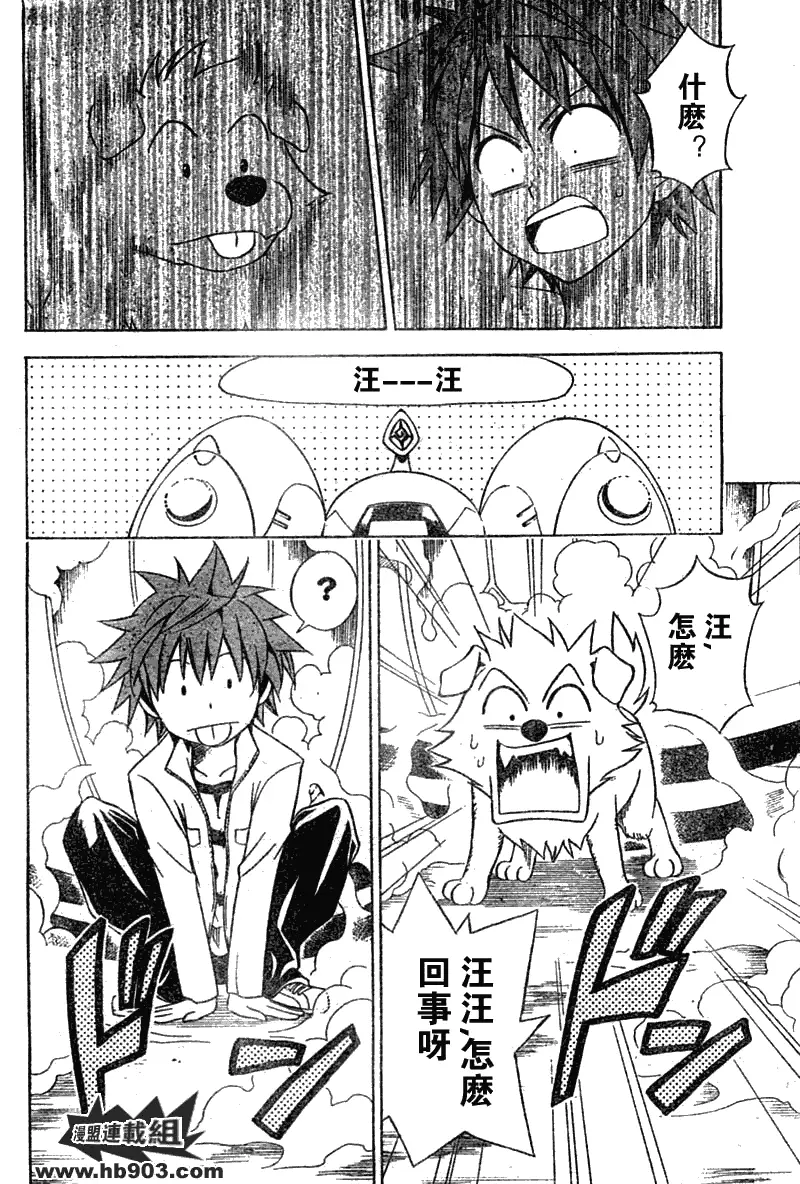 出包王女tolove043集