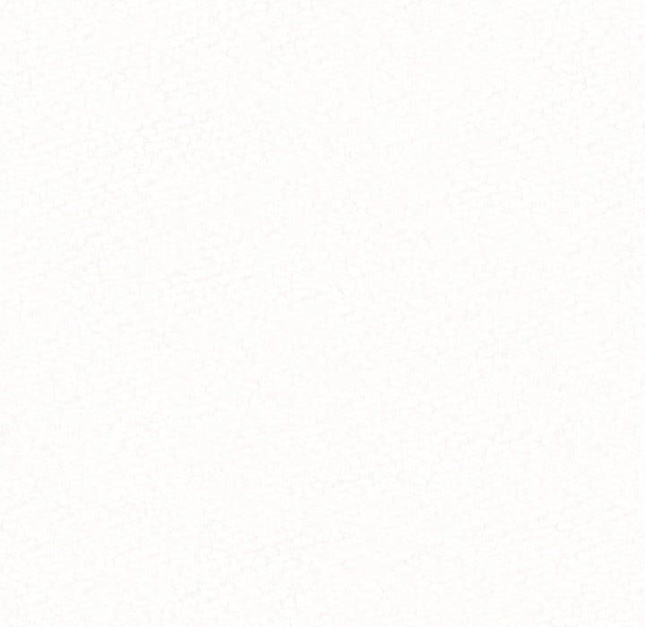 懵懂男生的恋爱史第2话