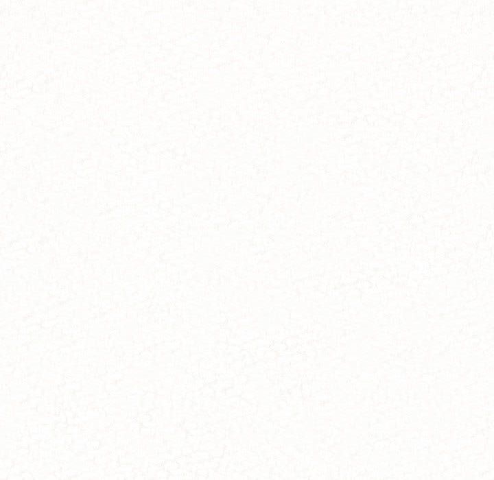 懵懂男生的恋爱史第2话