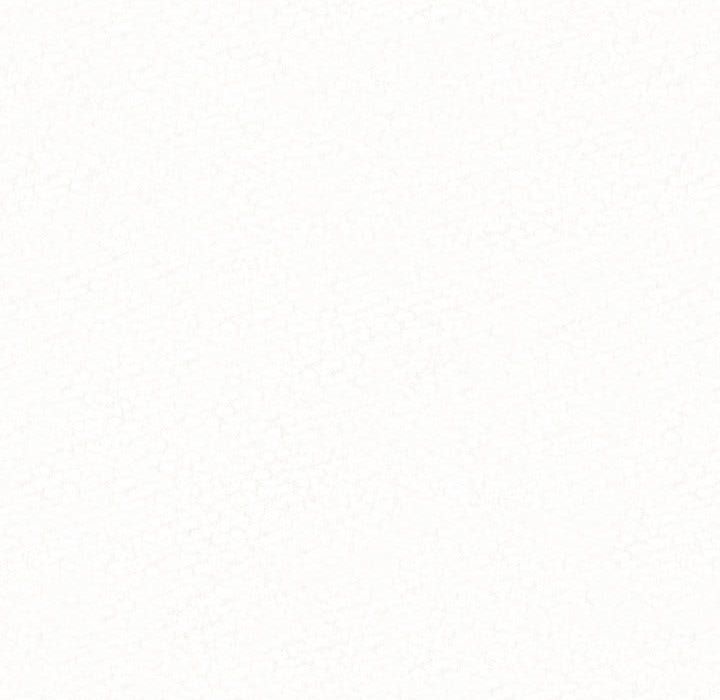 懵懂男生的恋爱史第2话