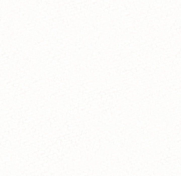 懵懂男生的戀愛史第2話