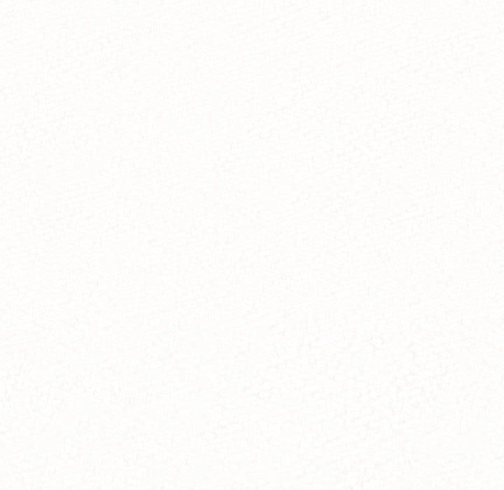 懵懂男生的恋爱史第2话