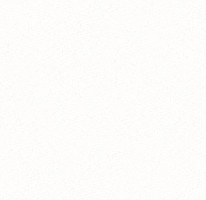 懵懂男生的恋爱史第4话