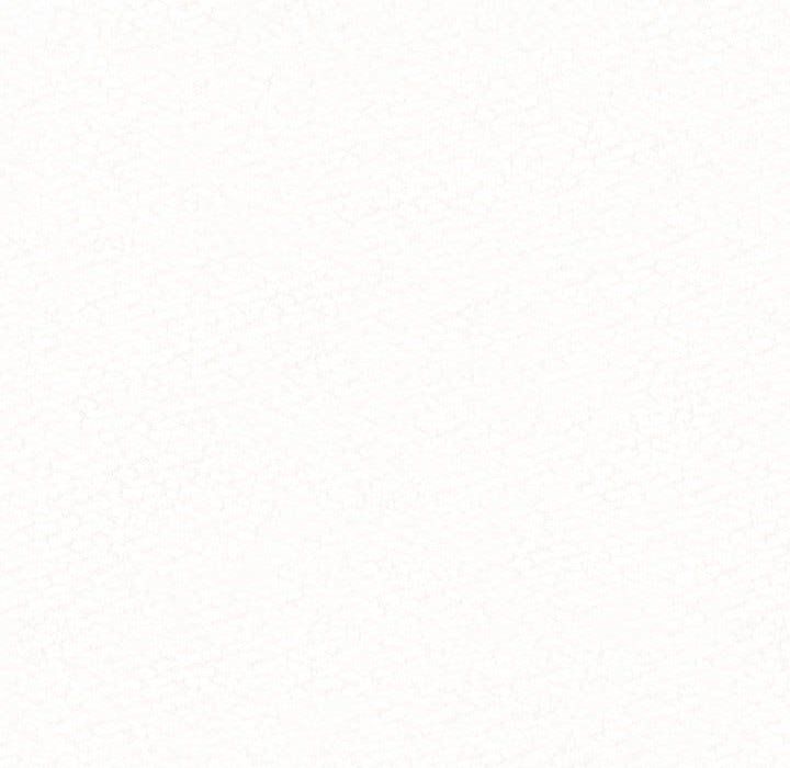 懵懂男生的恋爱史第4话