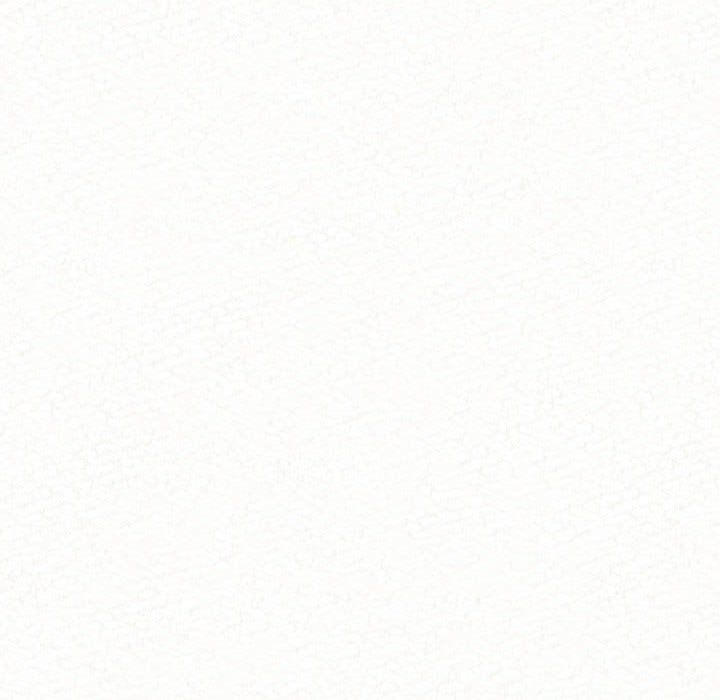 懵懂男生的恋爱史第5话