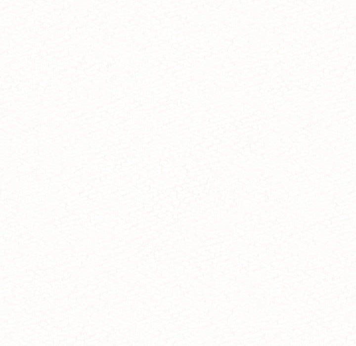 懵懂男生的恋爱史第6话