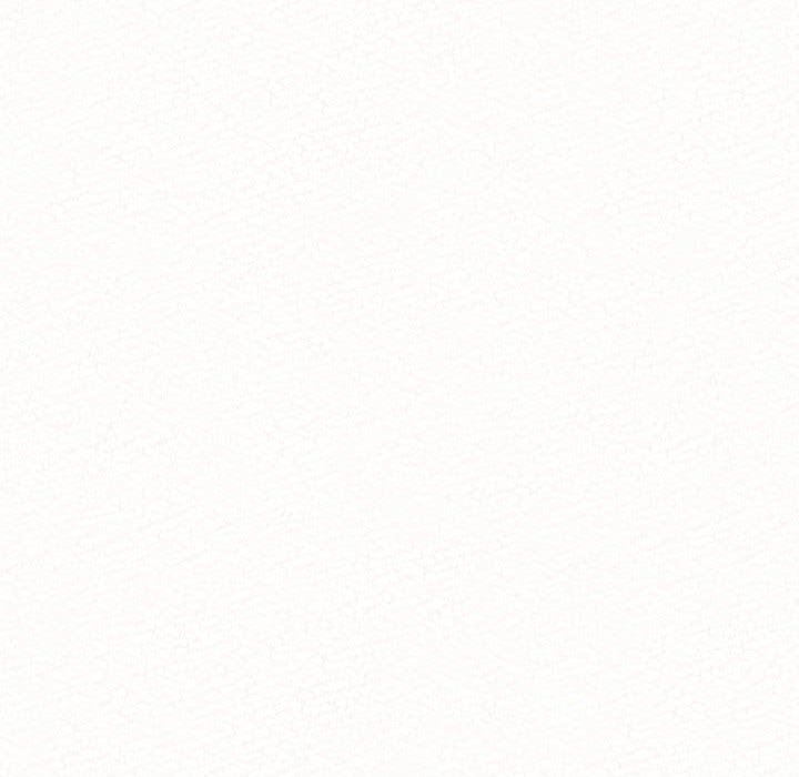 懵懂男生的恋爱史第10话