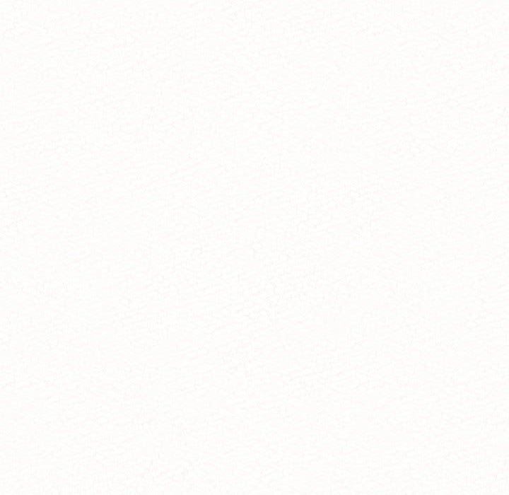 懵懂男生的恋爱史第33话