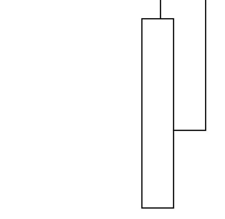 我的完美缪斯第22话