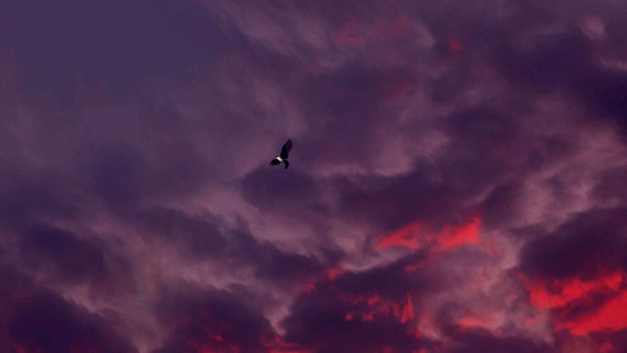 [3D]降魔传第148话