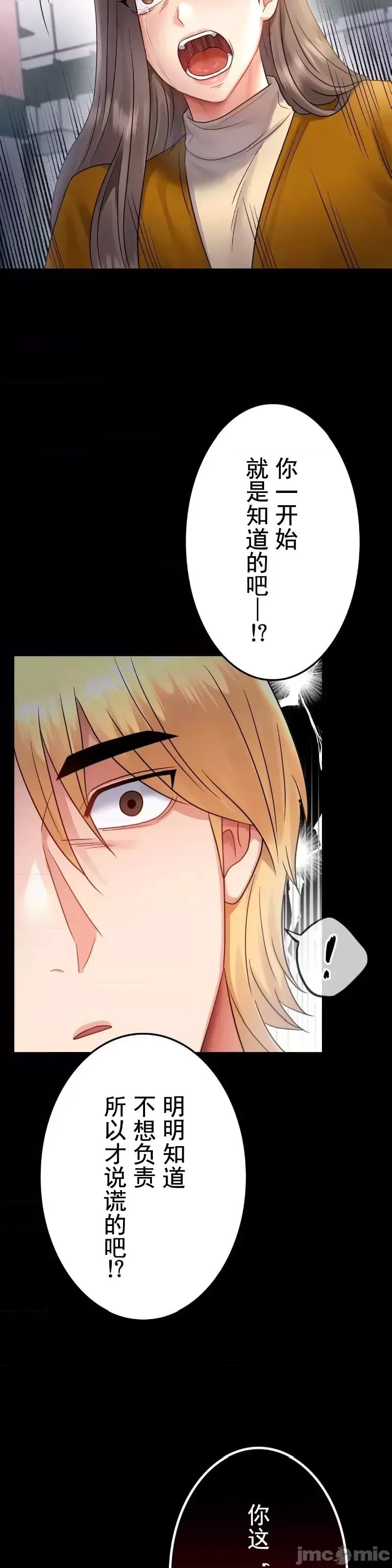 婚外情概率第73话