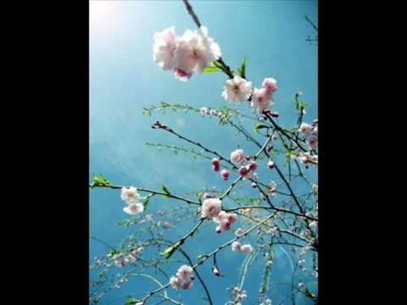 [AI绘画]Lote_2024整合AIGenerated第09话