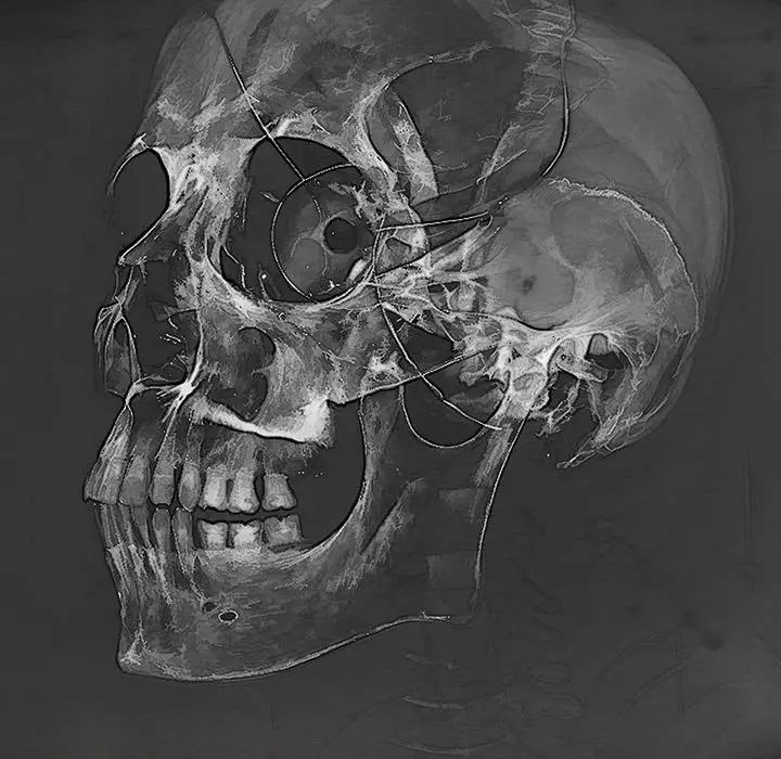 難纏小惡女第209話