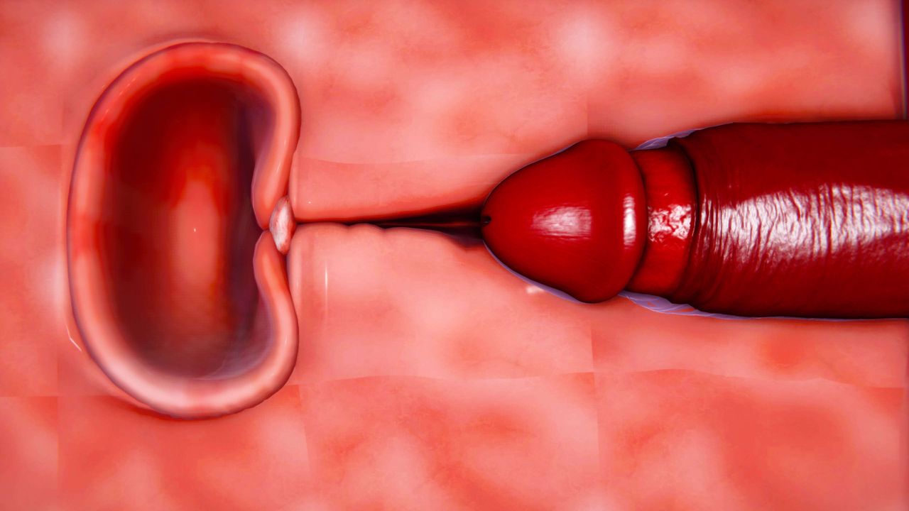 [3D]美少女假面冯迪妮第02话