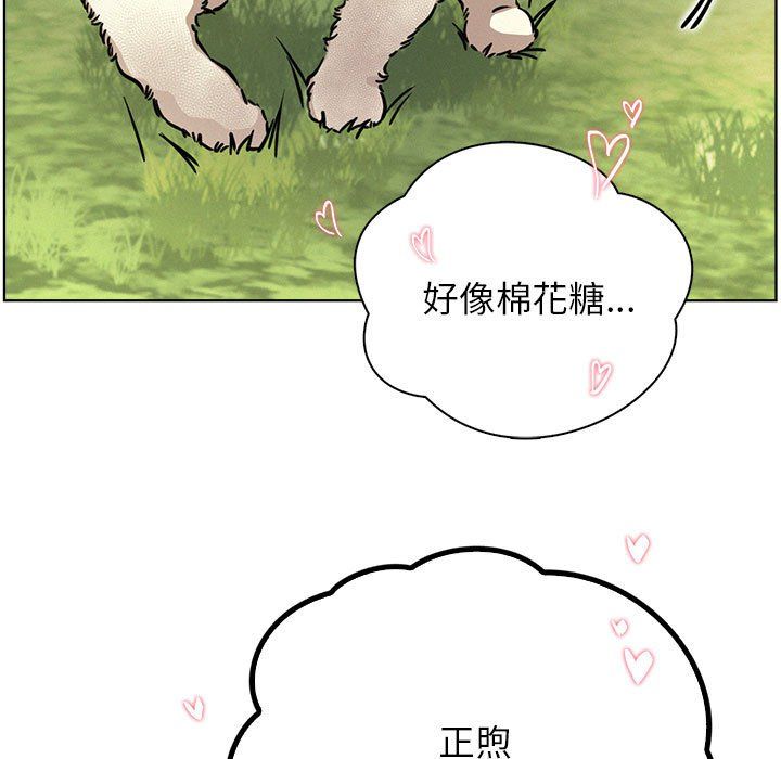 屋檐下的光第43話