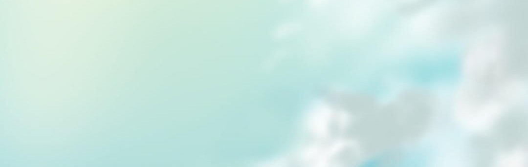 夫人的礼物第15话