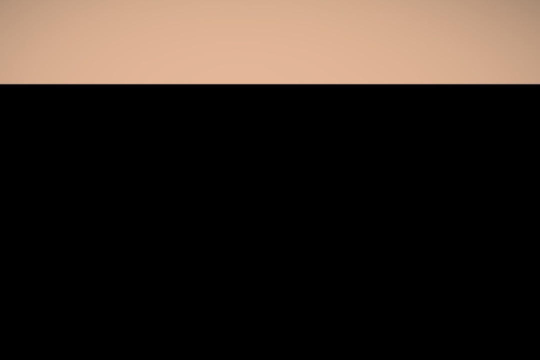 夫人的禮物第19話