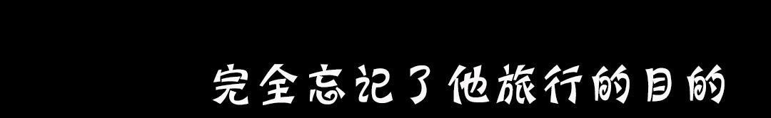 夫人的禮物第19話