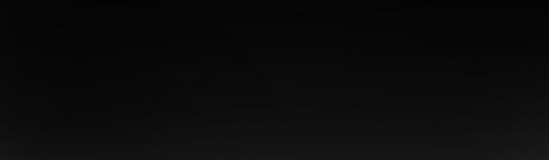 夫人的礼物第19话