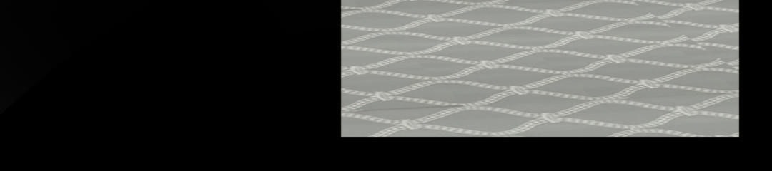 夫人的禮物第21話