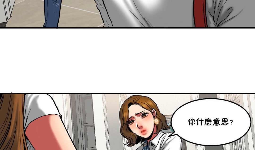 夫人的礼物第29话