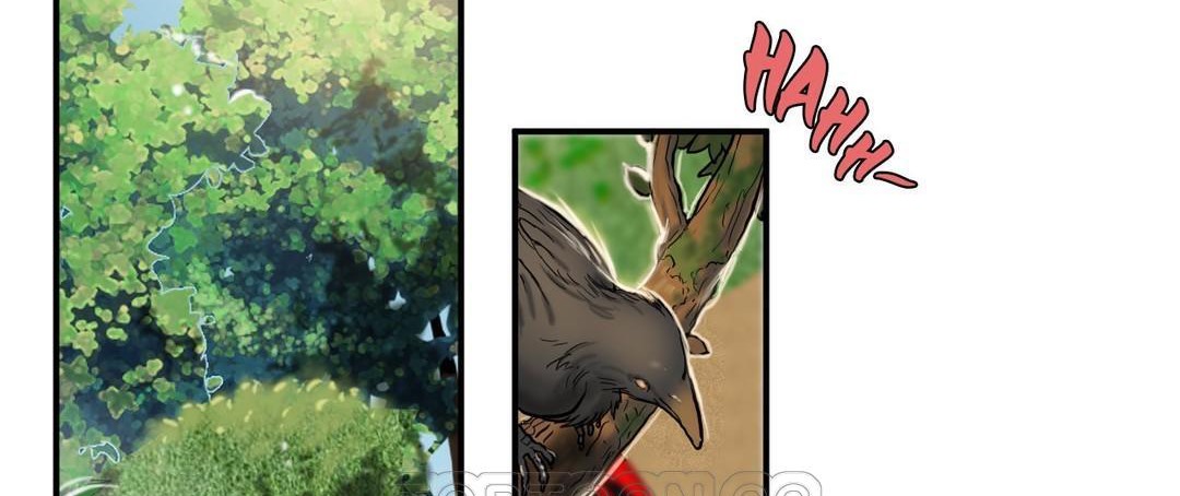 夫人的礼物第30话