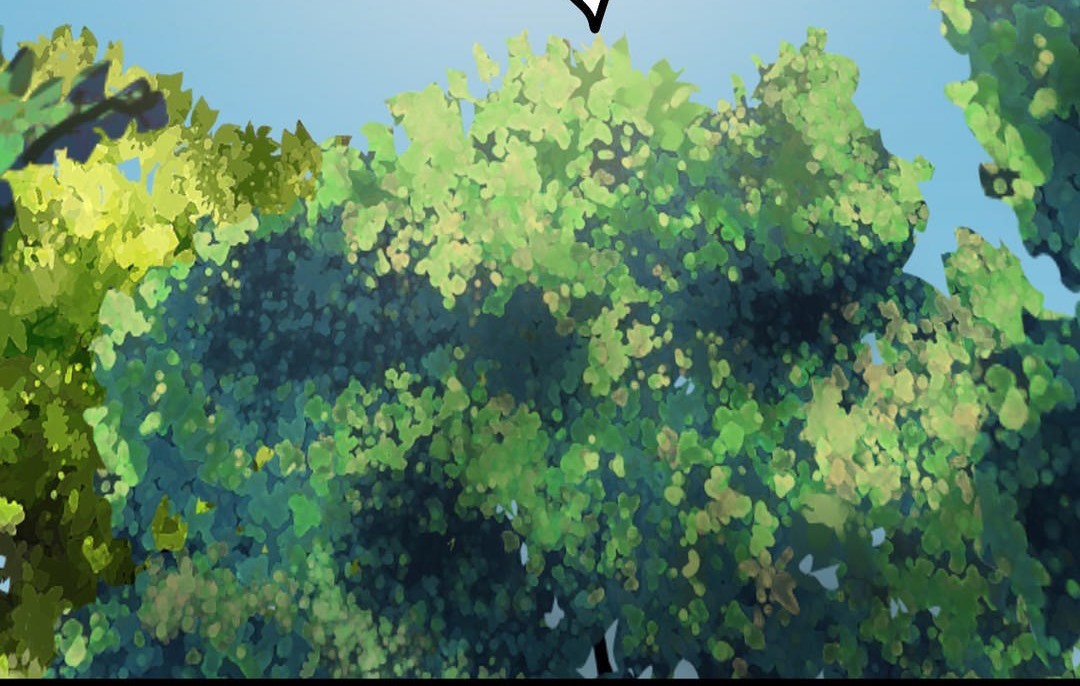 夫人的礼物第30话