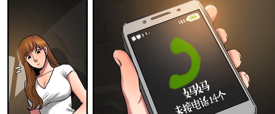 夫人的礼物第30话