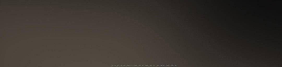 夫人的礼物第38话