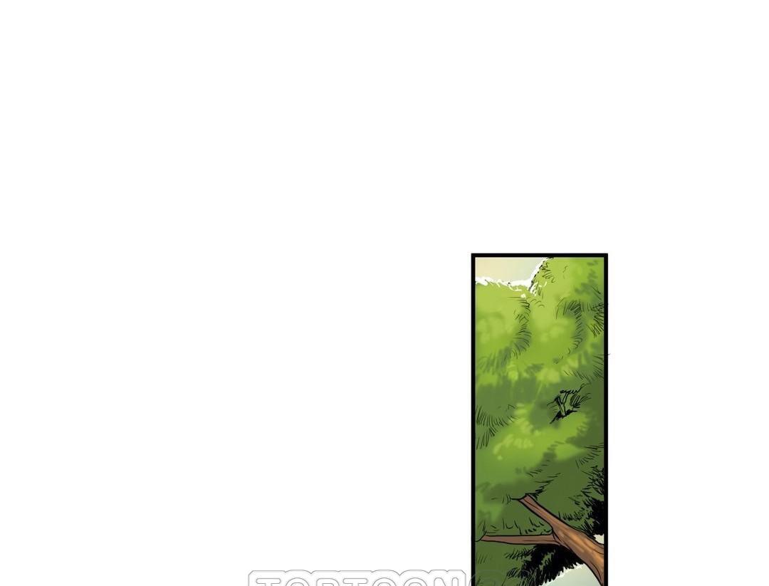 夫人的礼物第39话