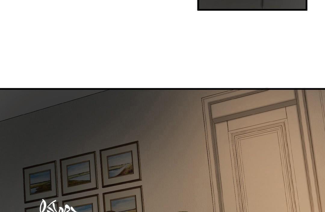 夫人的礼物第43话