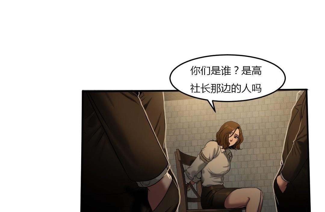 夫人的礼物第46话