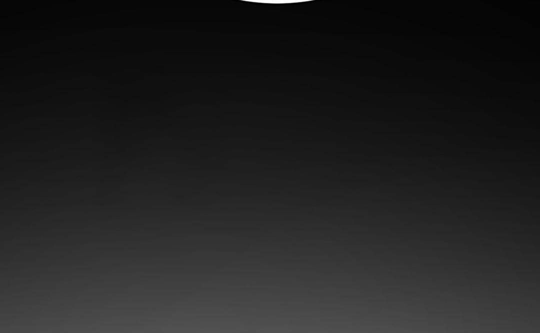 夫人的礼物第49话