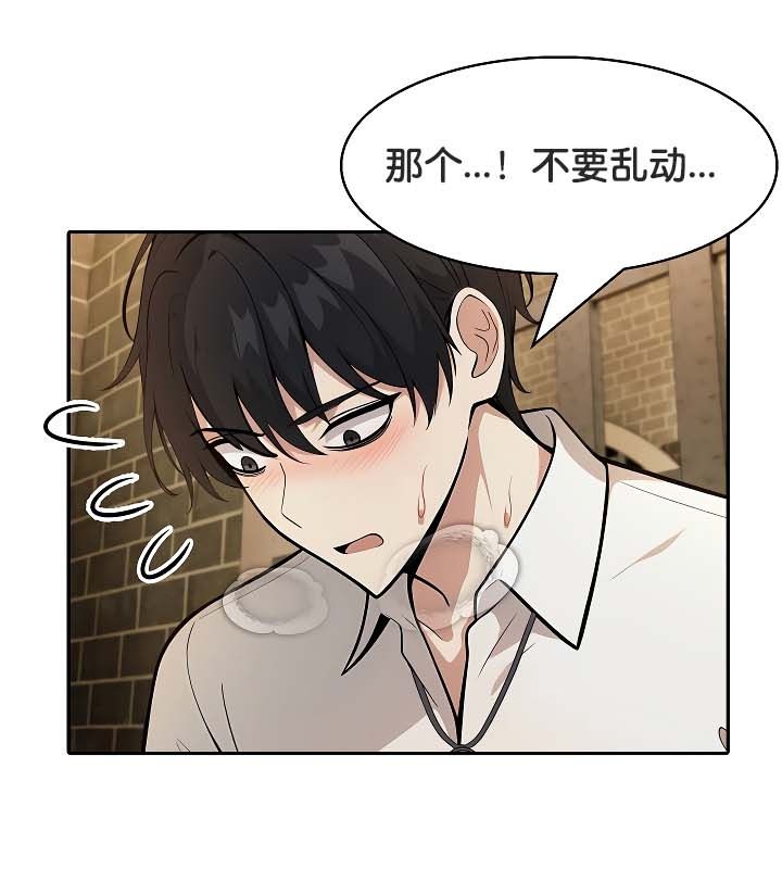 被召喚到異世界，然後成為半龍騎士長第20話