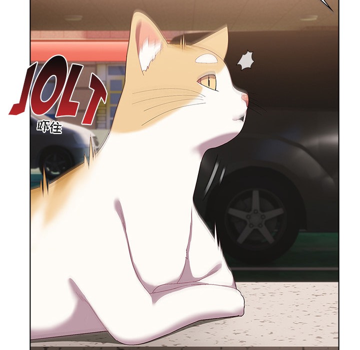 猫猫牵红线第1话