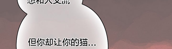 貓貓牽紅線第3話