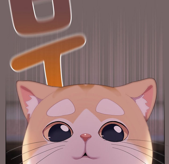 貓貓牽紅線第3話